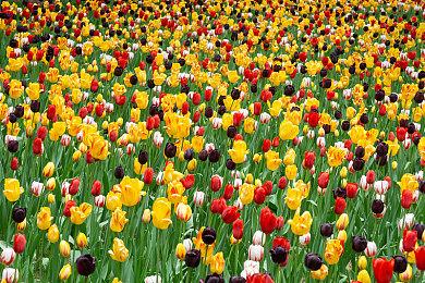 指向点击游戏《王冠与典当：诈骗王国》发售 暂不支持中文